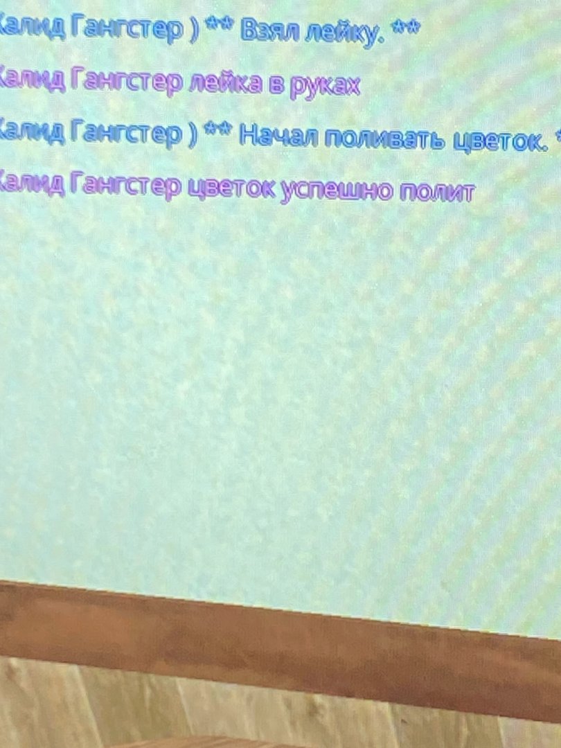 IMG_7077.jpeg