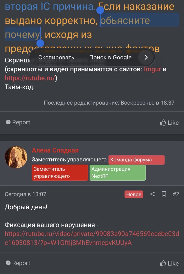 IMG_1399.jpeg