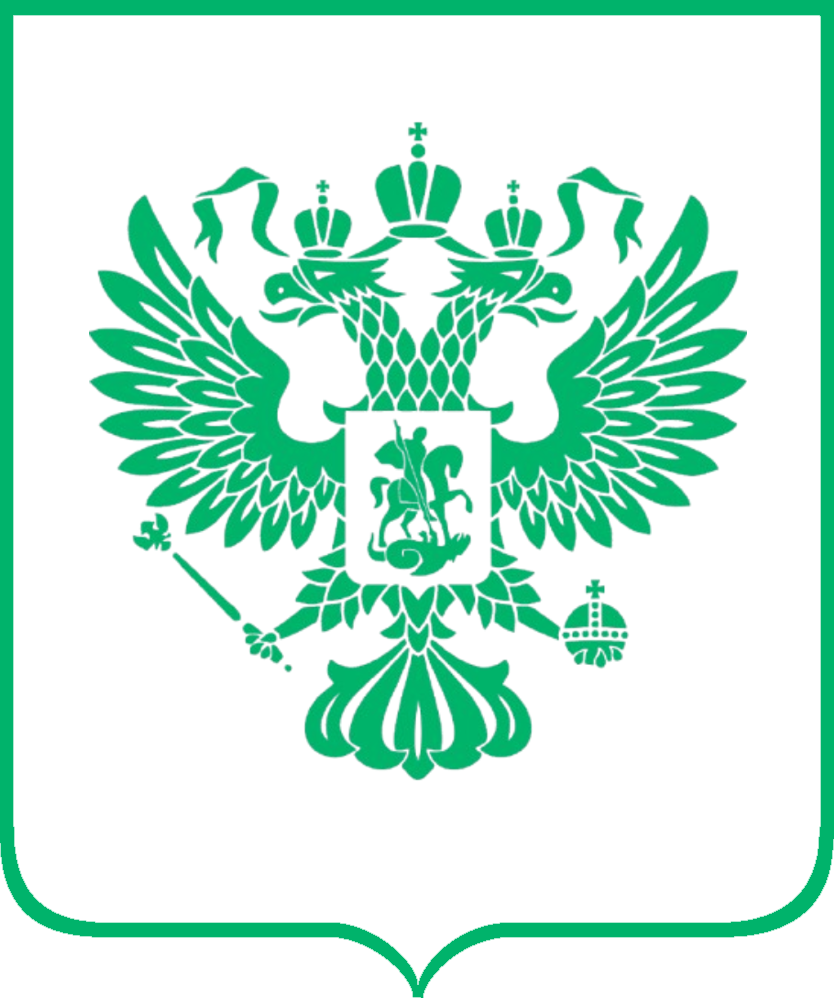 1000162202.png