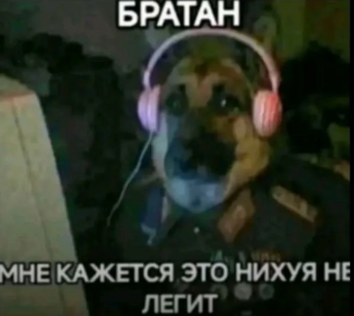 1782455602850.png