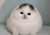 1787963888059.png