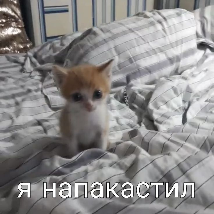 1789751103894.png