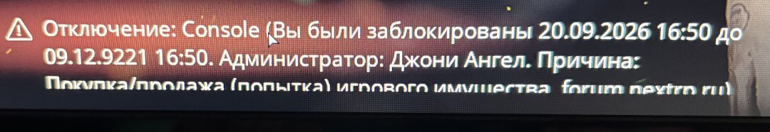 IMG_7175.jpeg