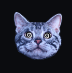4dtK.gif