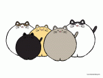 gif cat2.gif