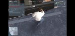 Screenshot_20200205-173405_Gallery.jpg