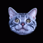 4dtK.gif