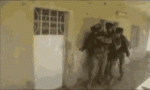 tenor (1).gif