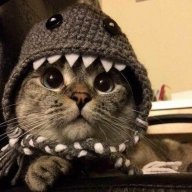 Сэм Беркут