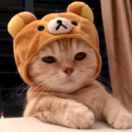 Нейт Хефнер