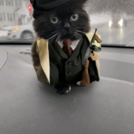 Сергей Будапешт