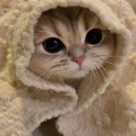 Саша Томских