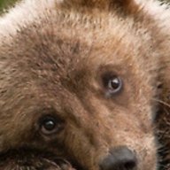 Павелъ