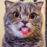 Артур Костин