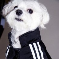 Андрей Дворовой =)