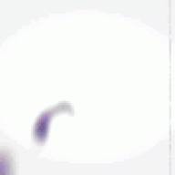 floyyt765