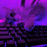 no_name02