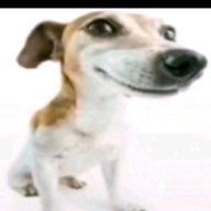 Meyk