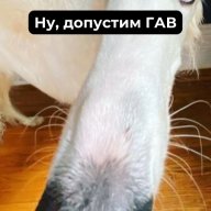 zxc_danik98rus