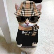 Нейт Benzo