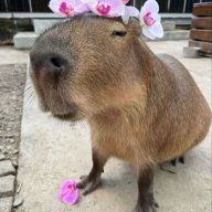 Леша Федоров