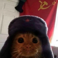 Никита Бомжевич
