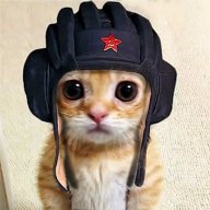 Тимур Прайм