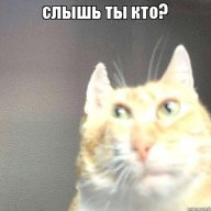 chymba