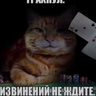 Серега Ферстаппен