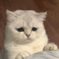 Chupik