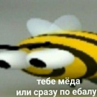 gayardos6