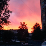 Темочка Кимура