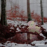 VVVVNNNN