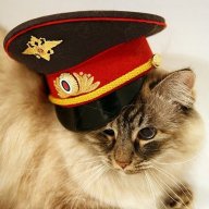Роман Виликий