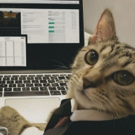 Мейсон Винс