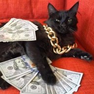 Дмитрий Добрынин