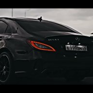 одуванчик прекрасный