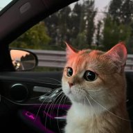 Владик Алмазов