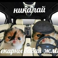 Николай Биркут