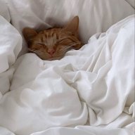 Артур Сачелька