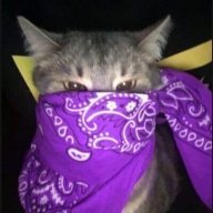 Виталий Шилов