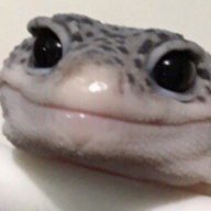 Skwitch