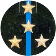 Саня Григоренко