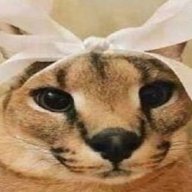 Miniqa