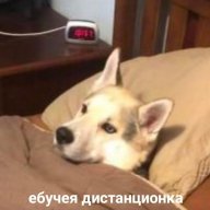 Максим Текутьев