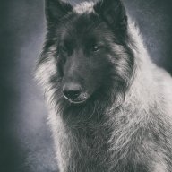 Владимир Жириновский