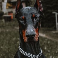 Иван Кабанов