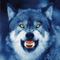 volk