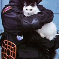 Марат Баширов