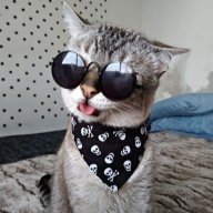 Егор Капитанов